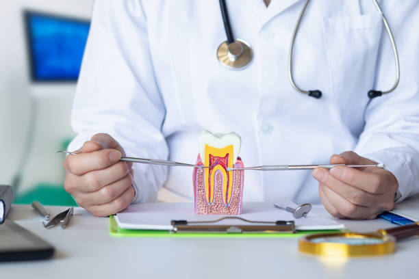 Best Pediatric Emergency Dentist in Auburn, IN